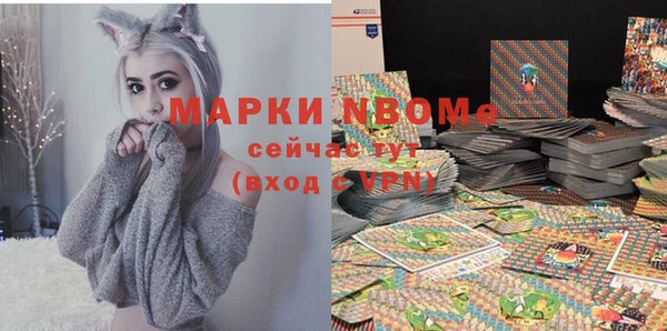 a pvp Бородино