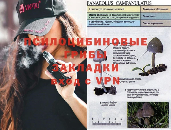 трава Арсеньев