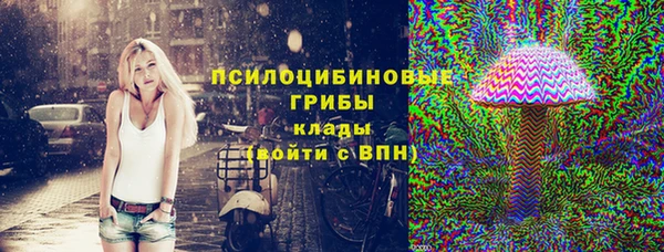 a pvp Бородино