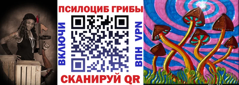 Псилоцибиновые грибы Psilocybine cubensis Певек